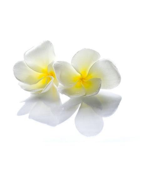 EZT VÁRHATOD A SILK HIDRATÁLÓ KRÉMTŐL SZÁRAZ BŐRRE: