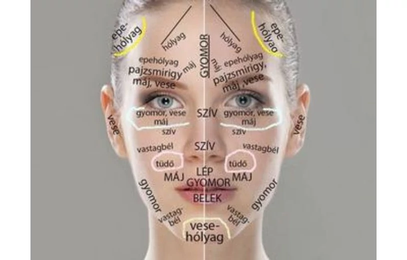 ARCDIAGNOSZTIKA -mit üzennek a szerveink? Az arcon lévő pattanások szervi problémákra figyelmeztetnek